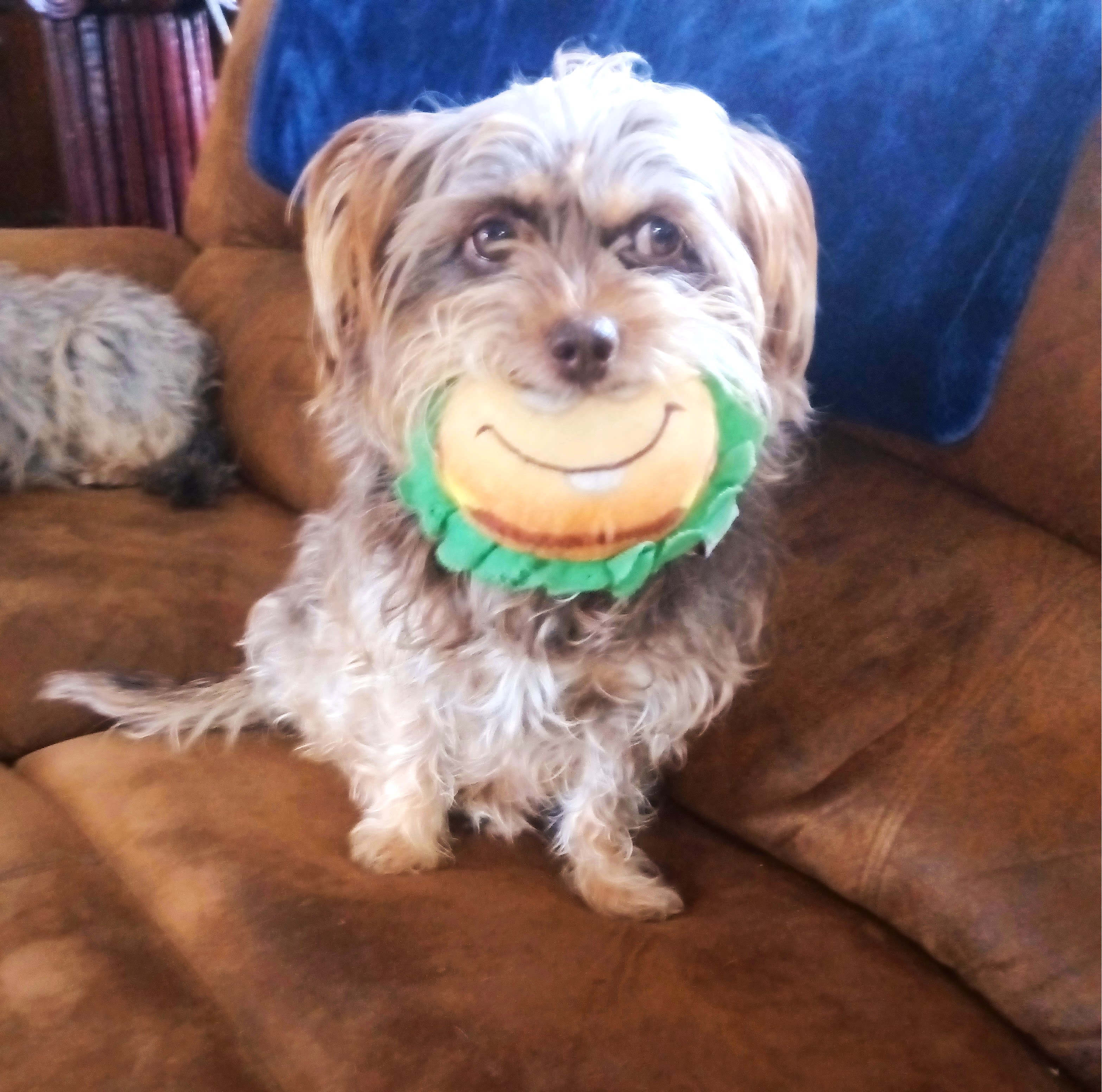 THIS IS JELLY AND HER DAUGHTER PICKLES