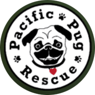 Pacific Pug Rescue
