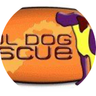 Soul Dog Rescue