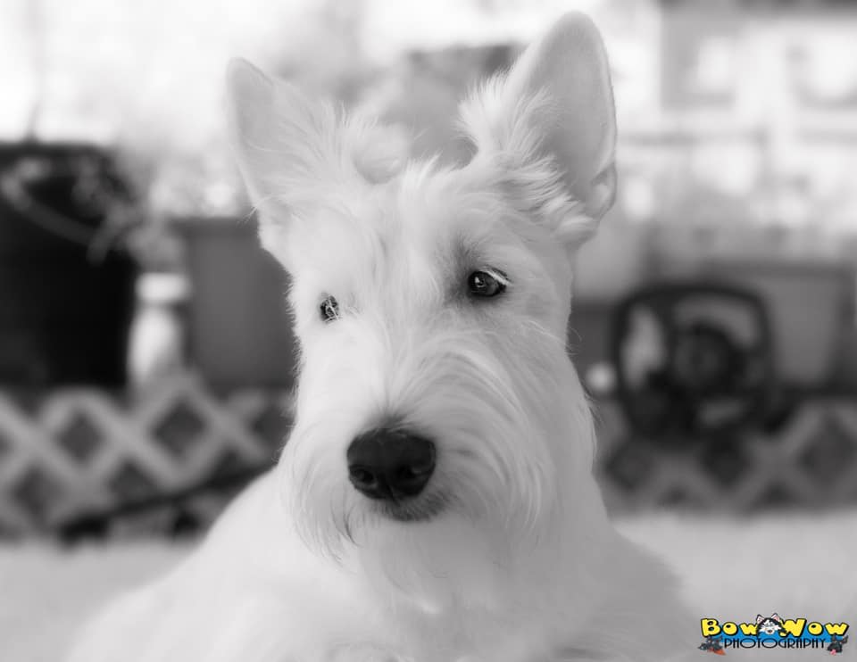 Finnie RBB 1-29-2026