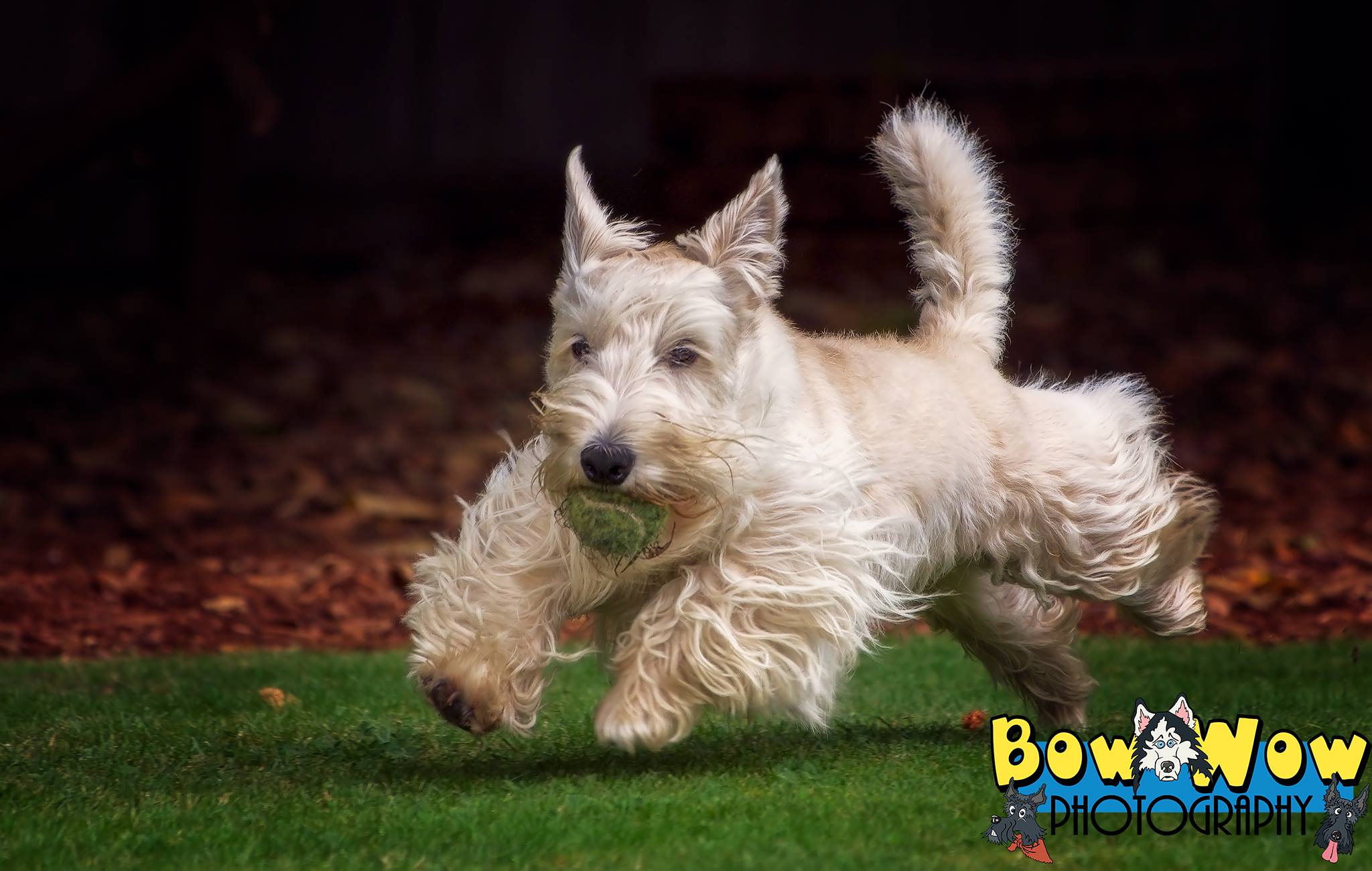 Finnie RBB 1-29-2026