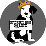 Notorious D.O.G. Dog Rescue