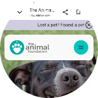 The Animal Foundation 