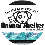 Allegany County Animal Shelter (MD)