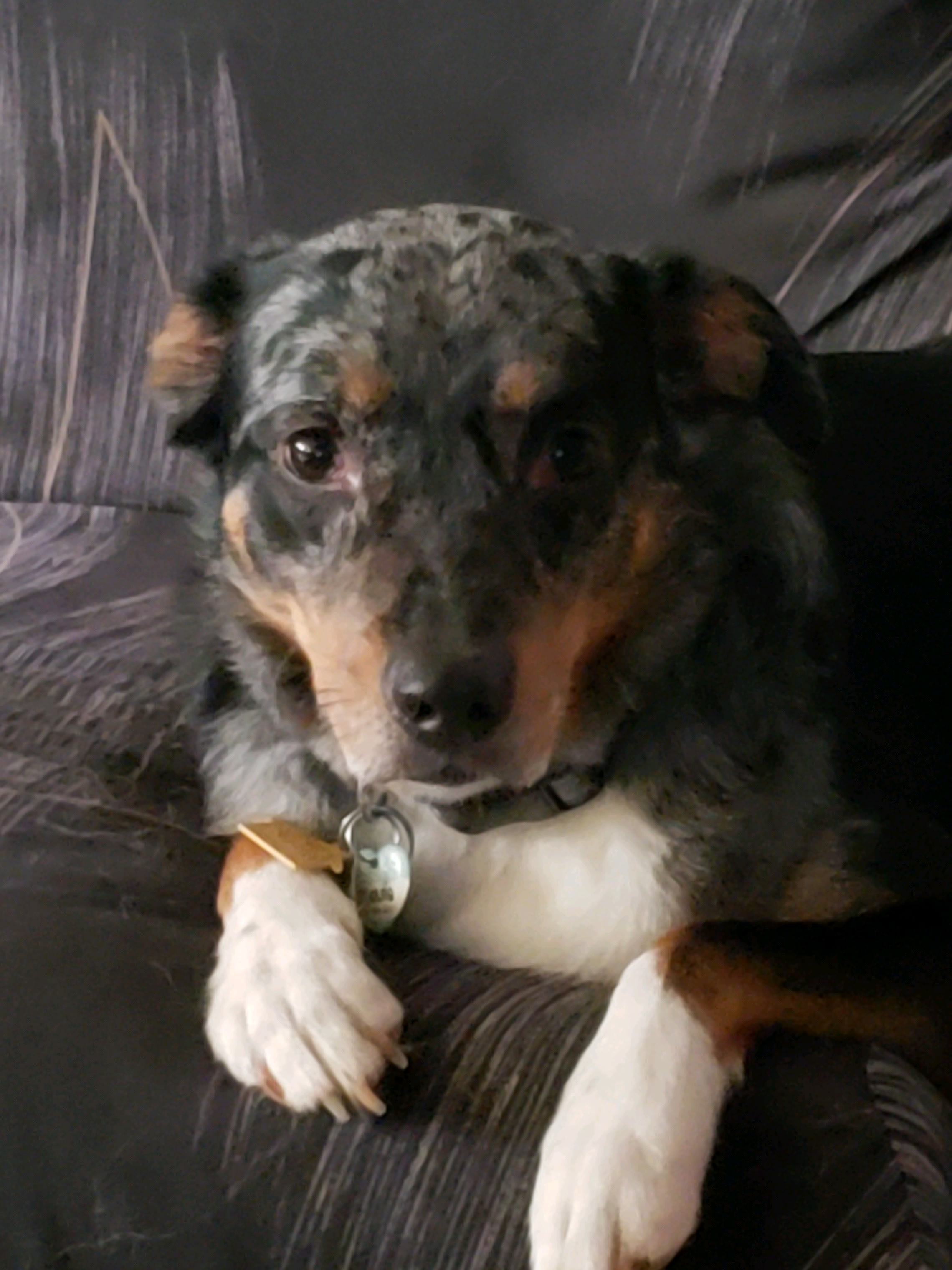 Stevie and Fozzie Bear Stevie and Fozzie Bear