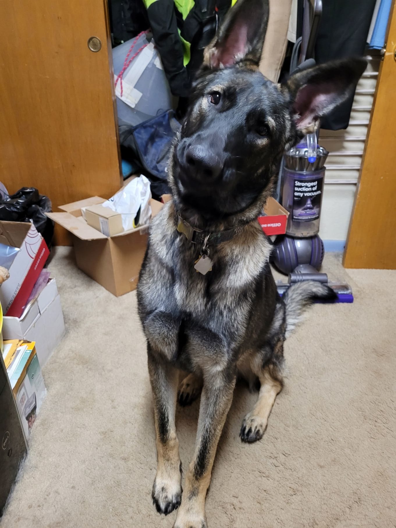 Stevie and Fozzie Bear Stevie and Fozzie Bear