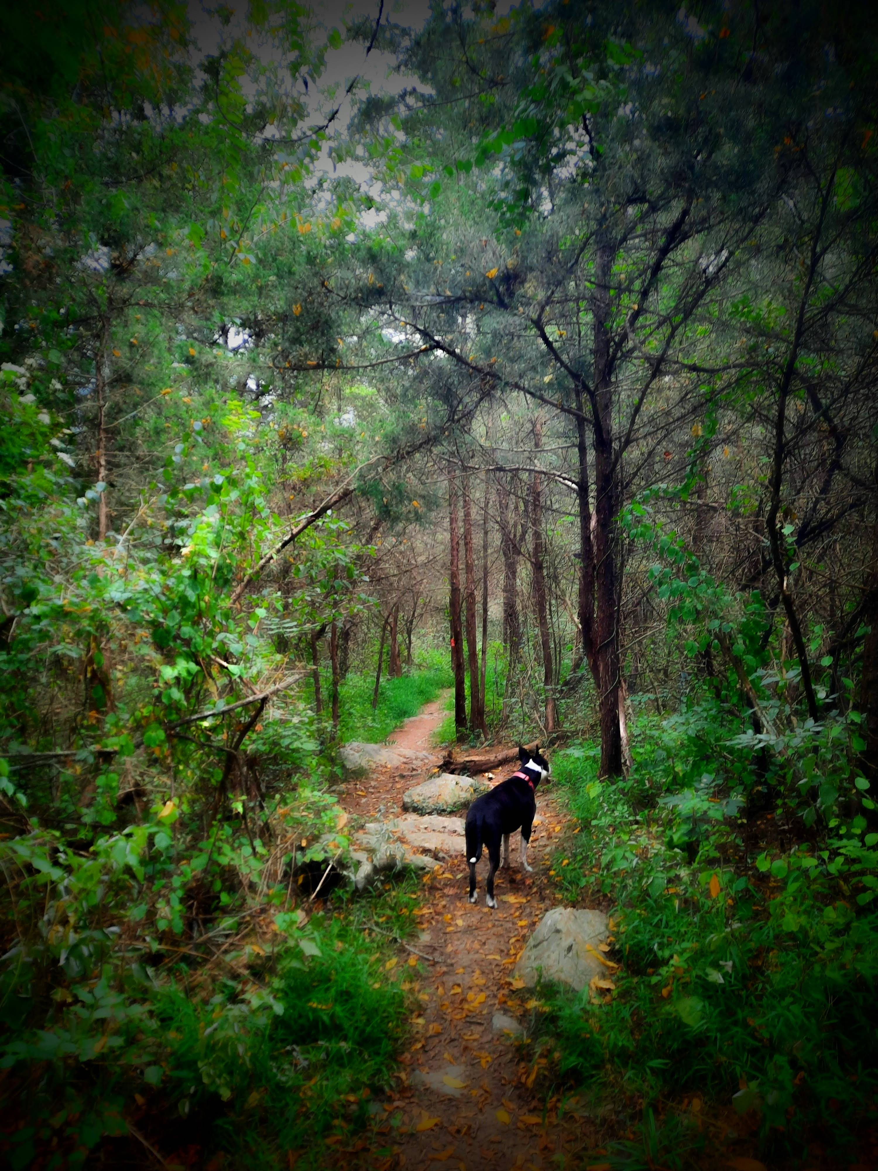 Nala Delaweez Nala Delaweez