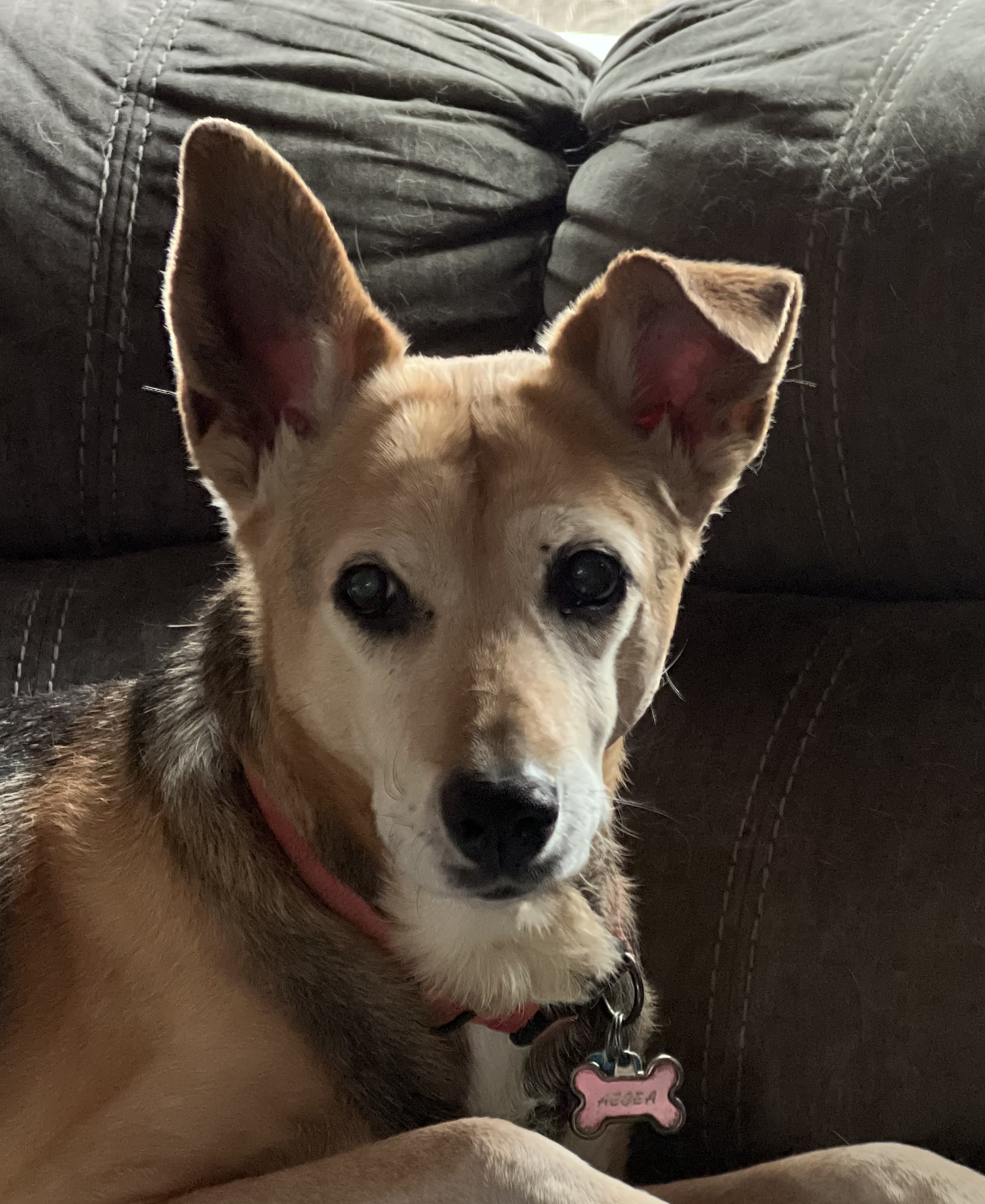 Peaches Aegea and Titan