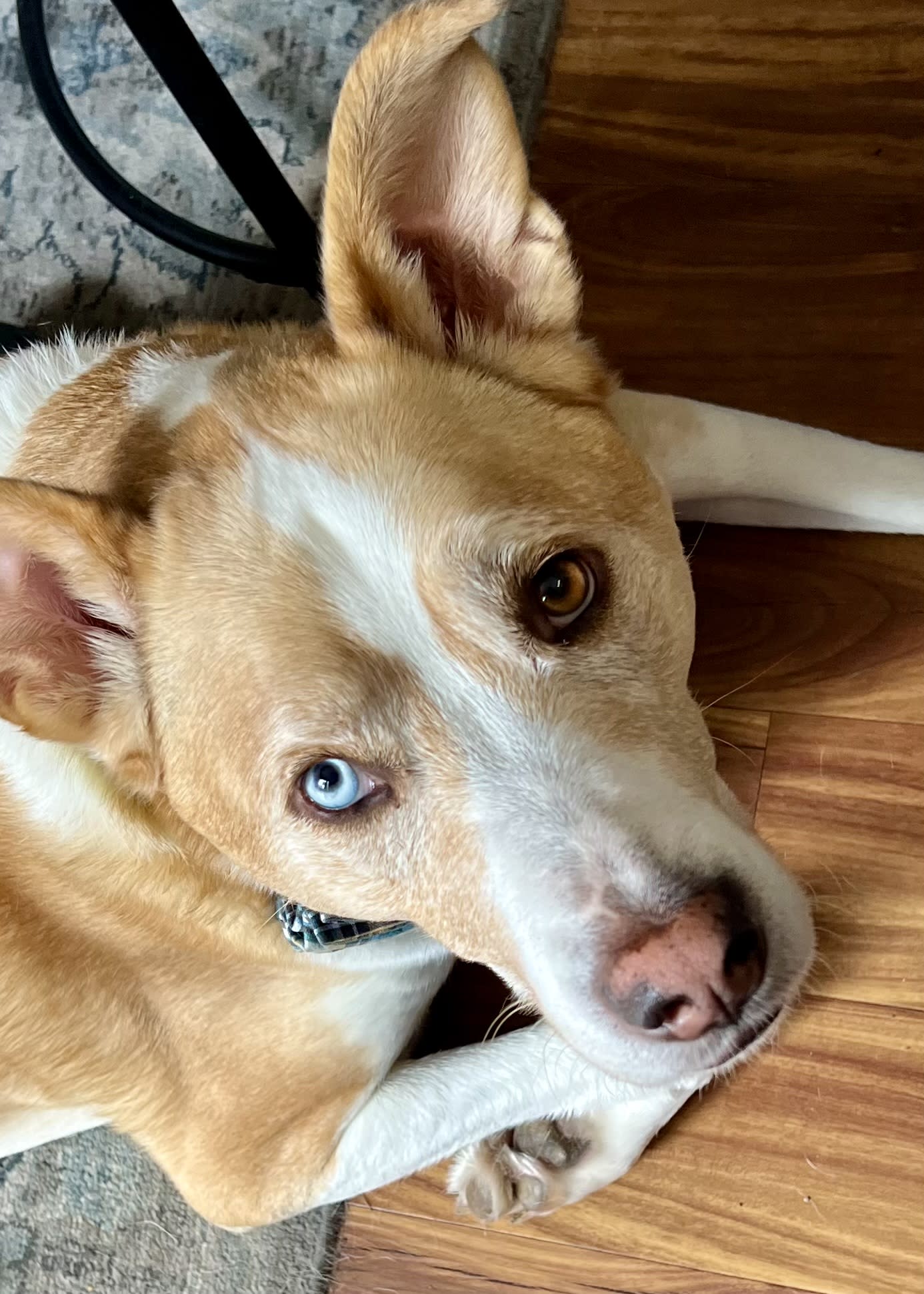 Peaches Aegea and Titan