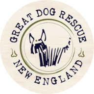 Great Dog Rescue New England