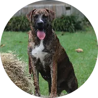 2nd Chance Animal Sanctuary