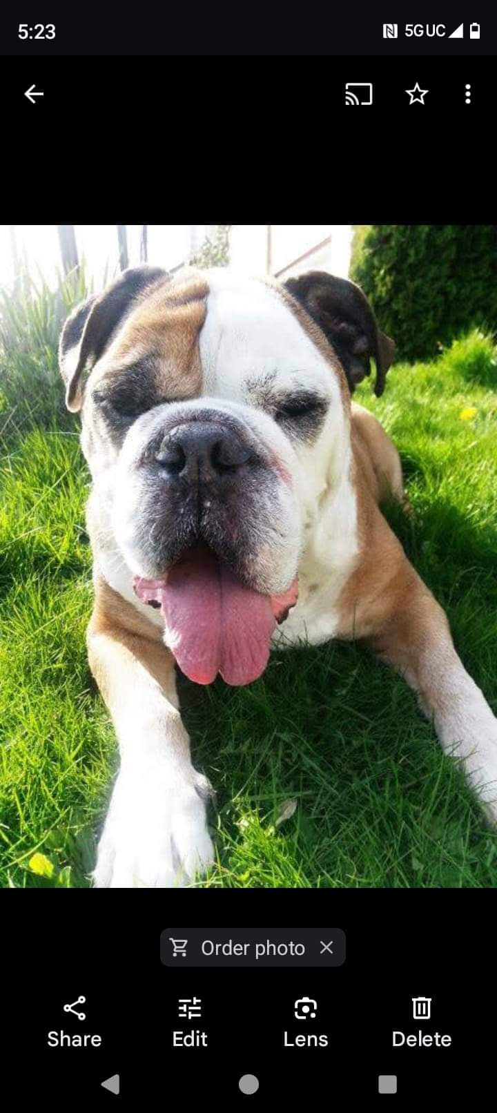 Dank aka ubernoodledoodlehead