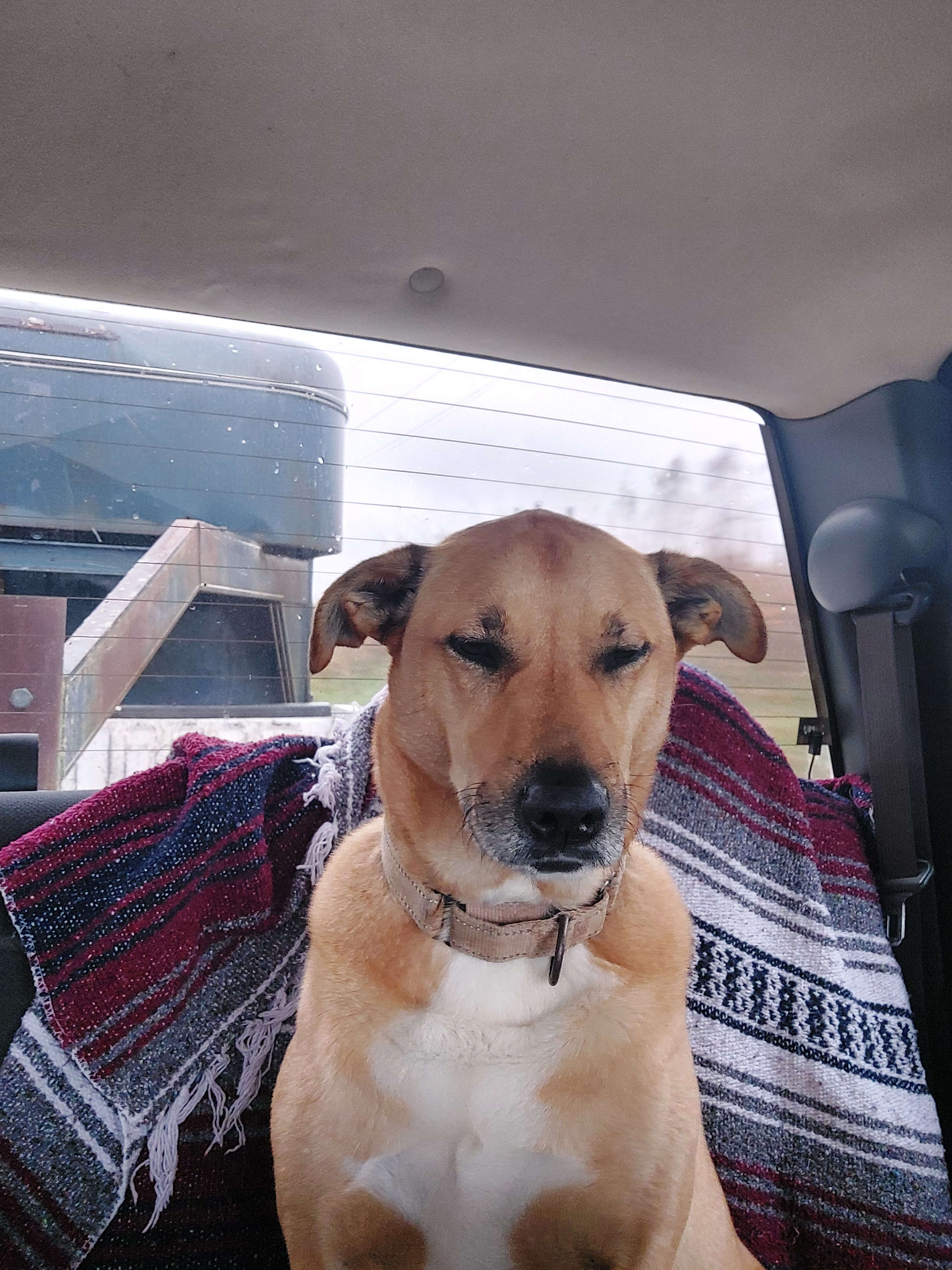 Lilly Belle Lilly Belle