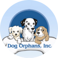 Dog Orphans Inc