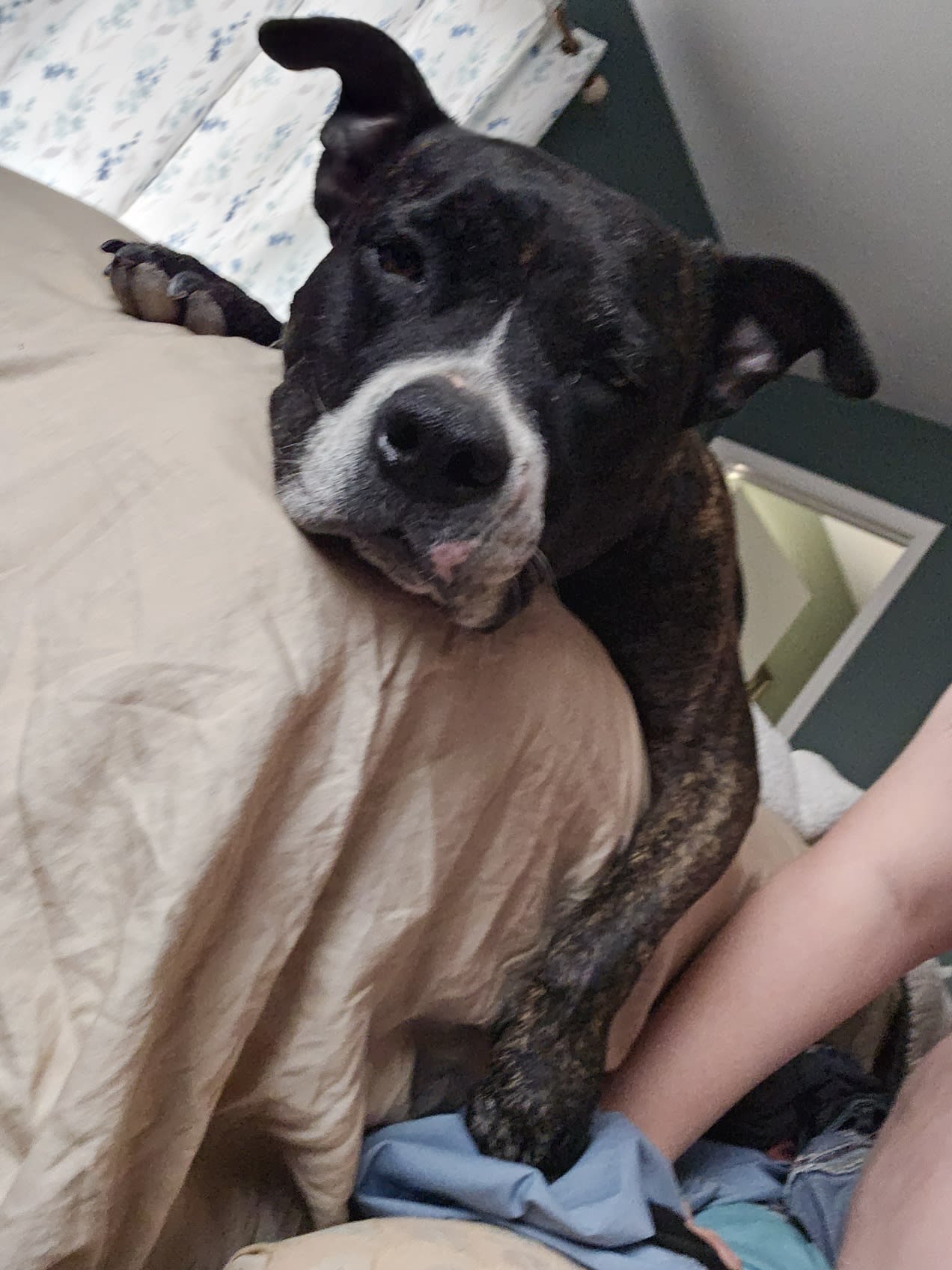 Woobers Agnes and Maus