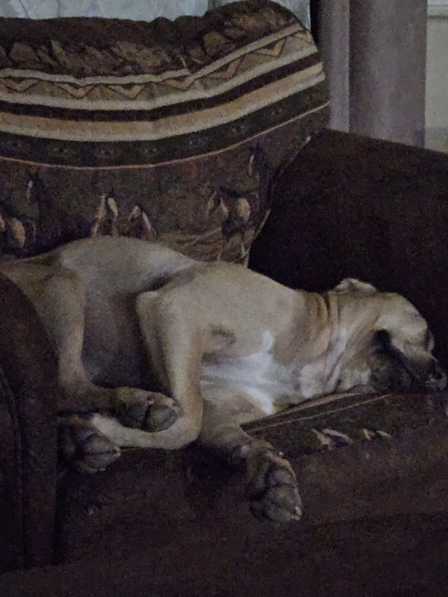 Woobers Agnes and Maus