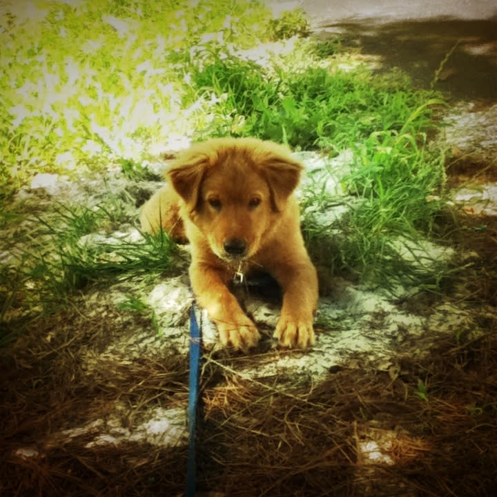 Rusty