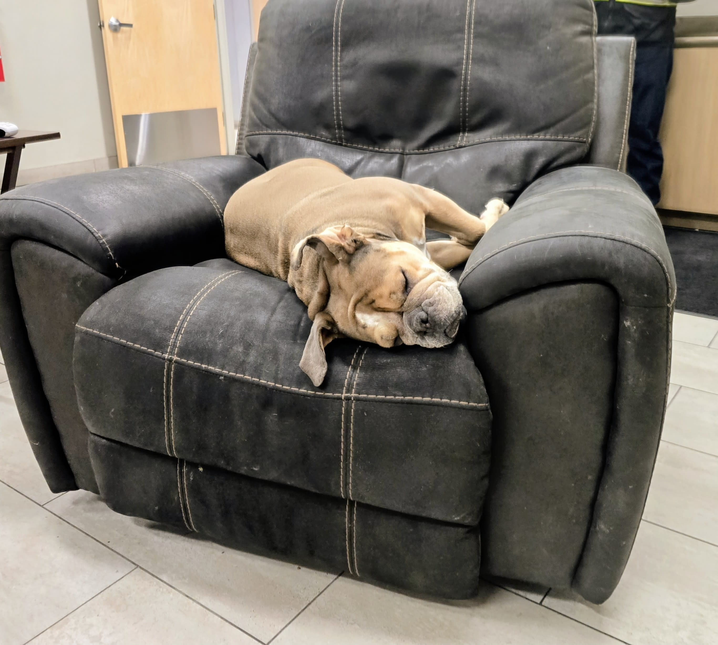 Molly the most BEAUTIFUL