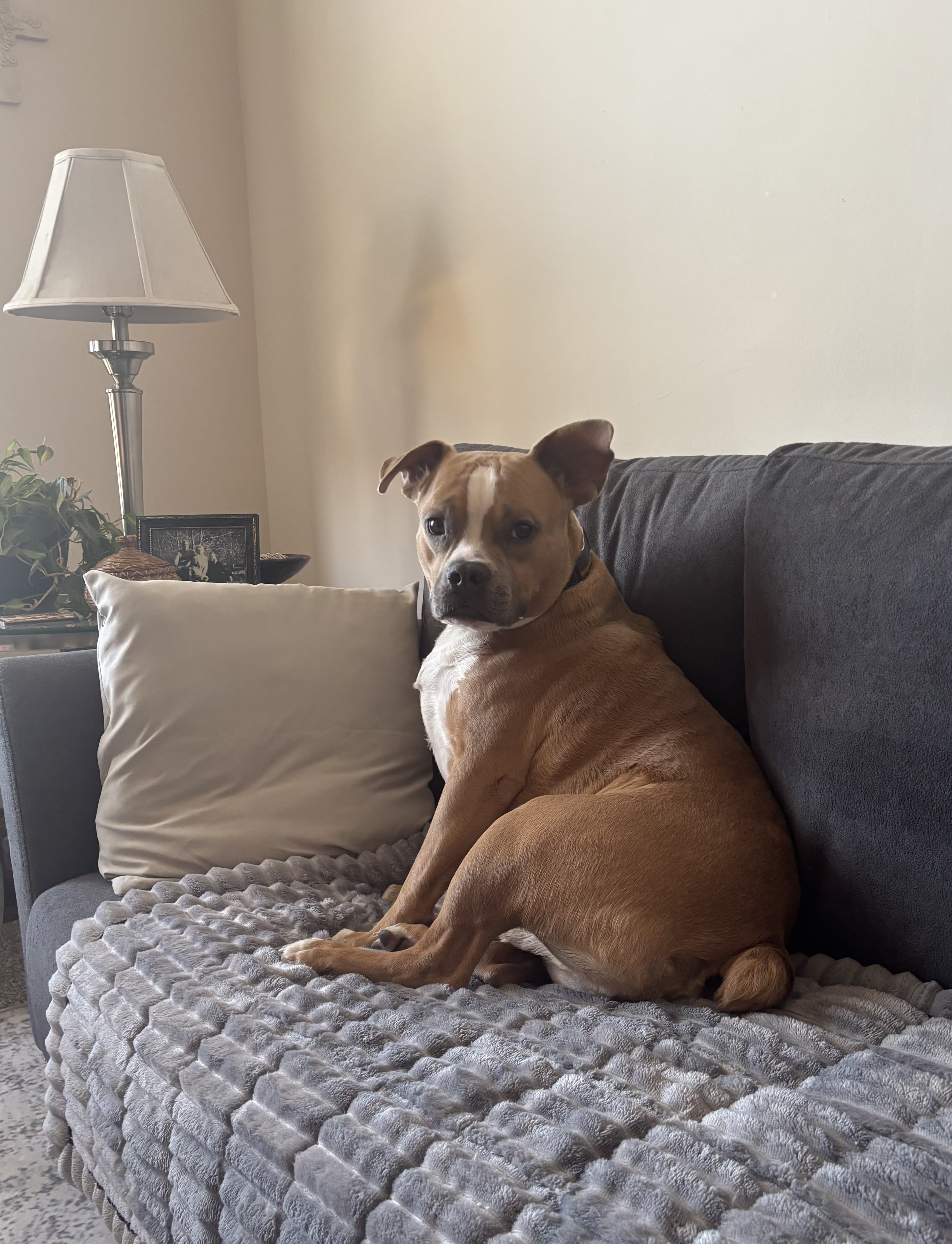 Max