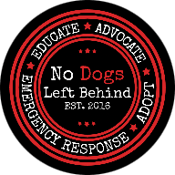 No Dogs Left Behind