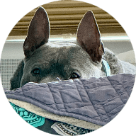 Burlington County Animal Shelter