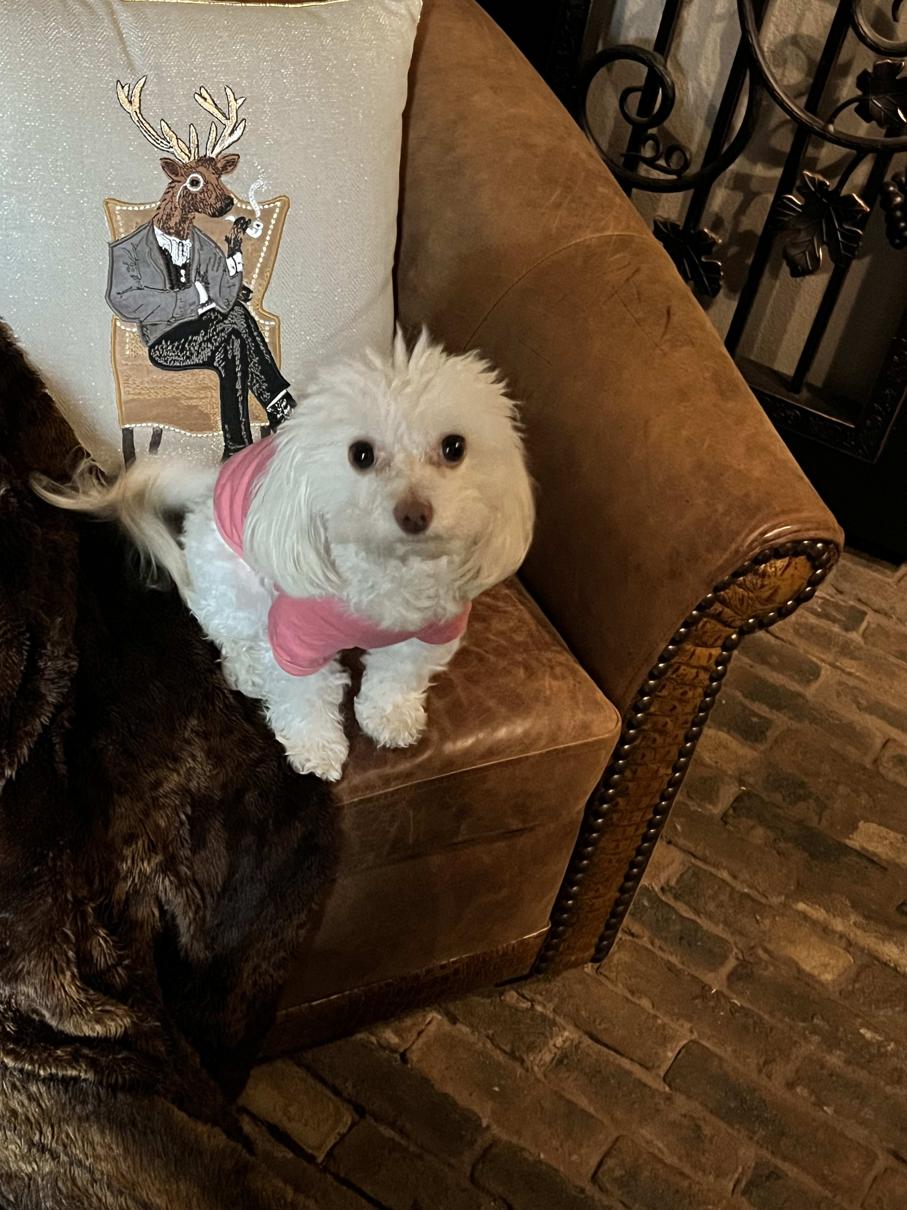 Izzy and Ruthie Izzy and Ruthie