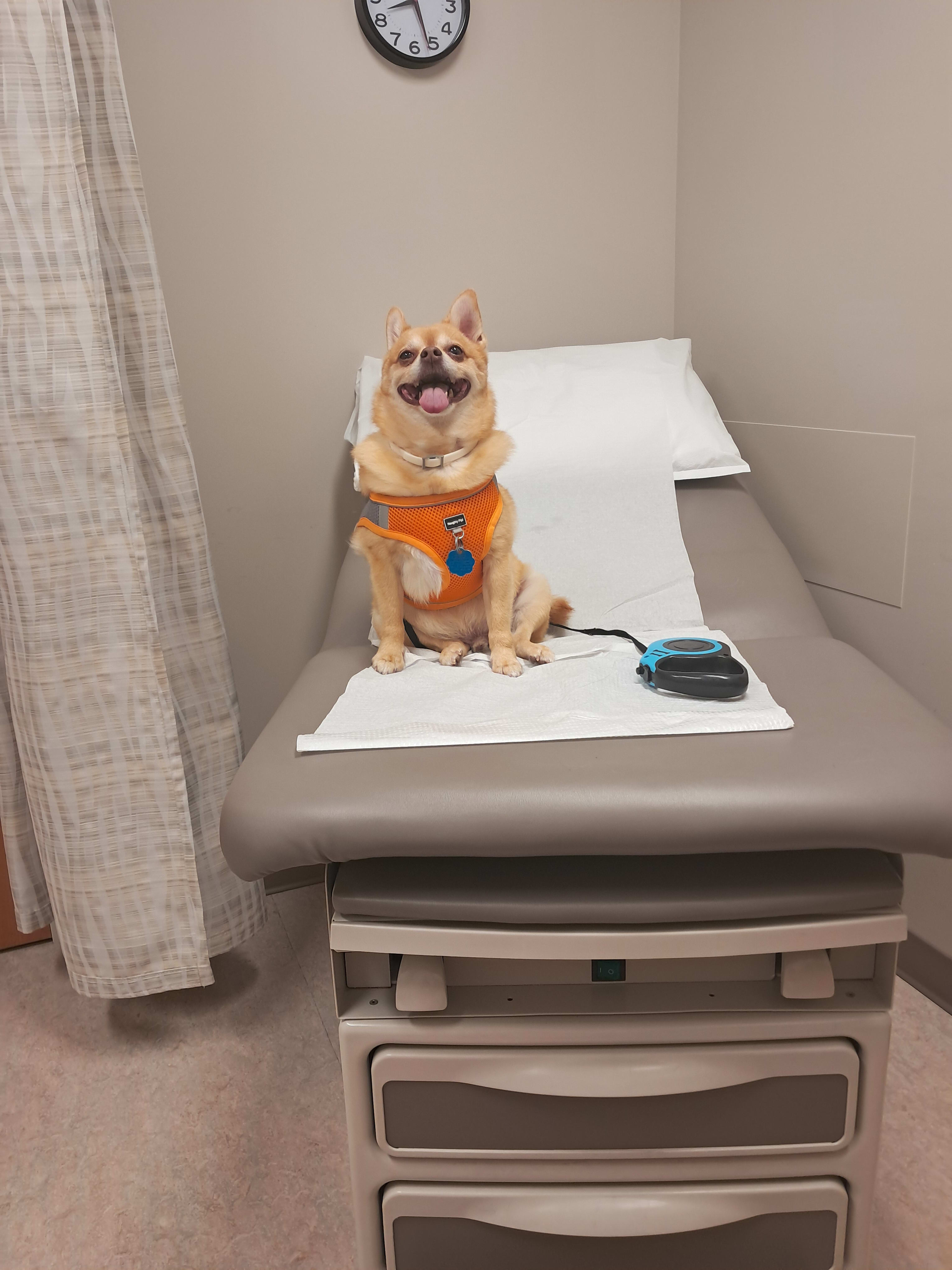 Topper GuRoot Bennett