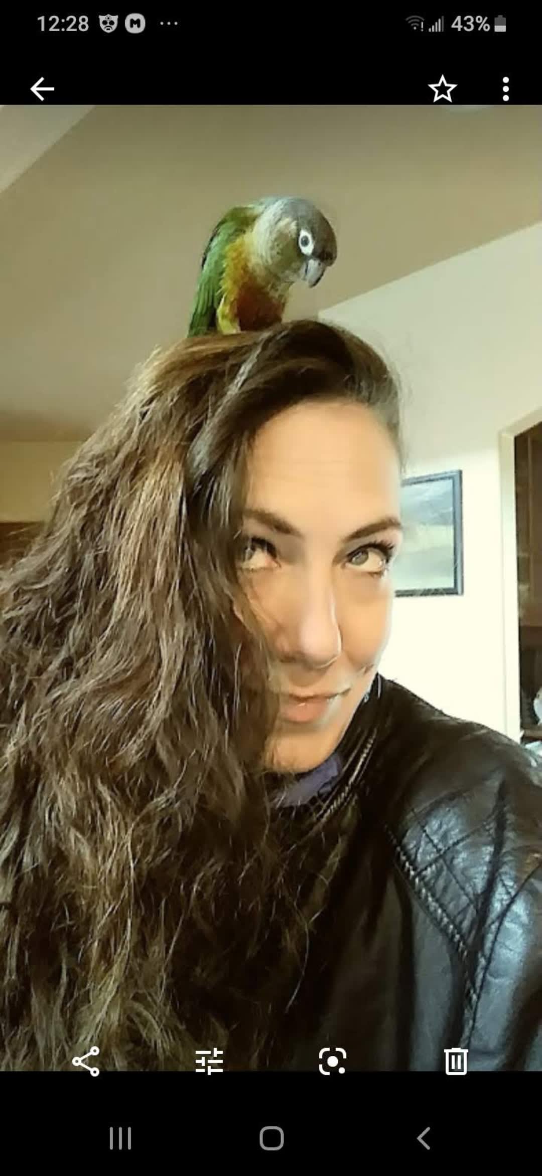 Mr Buddy Smith Mr Buddy Smith