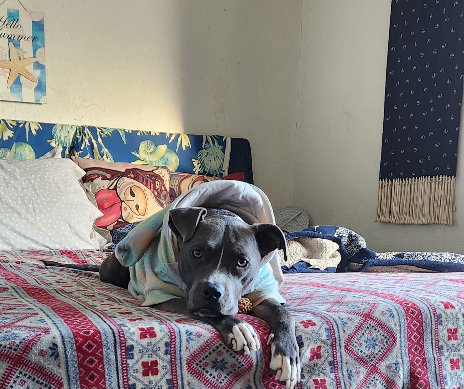 LuluYogi LuluYogi