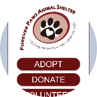 Forever Paws Animal Shelter