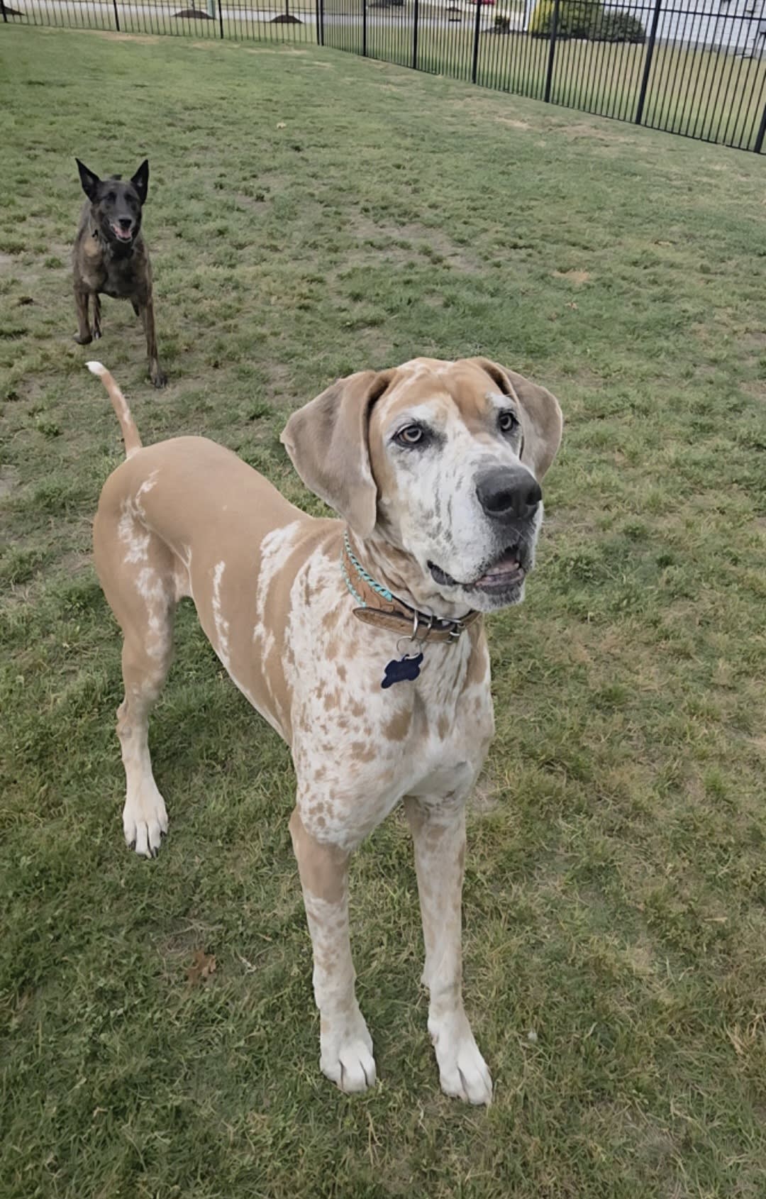 Kira and Skye