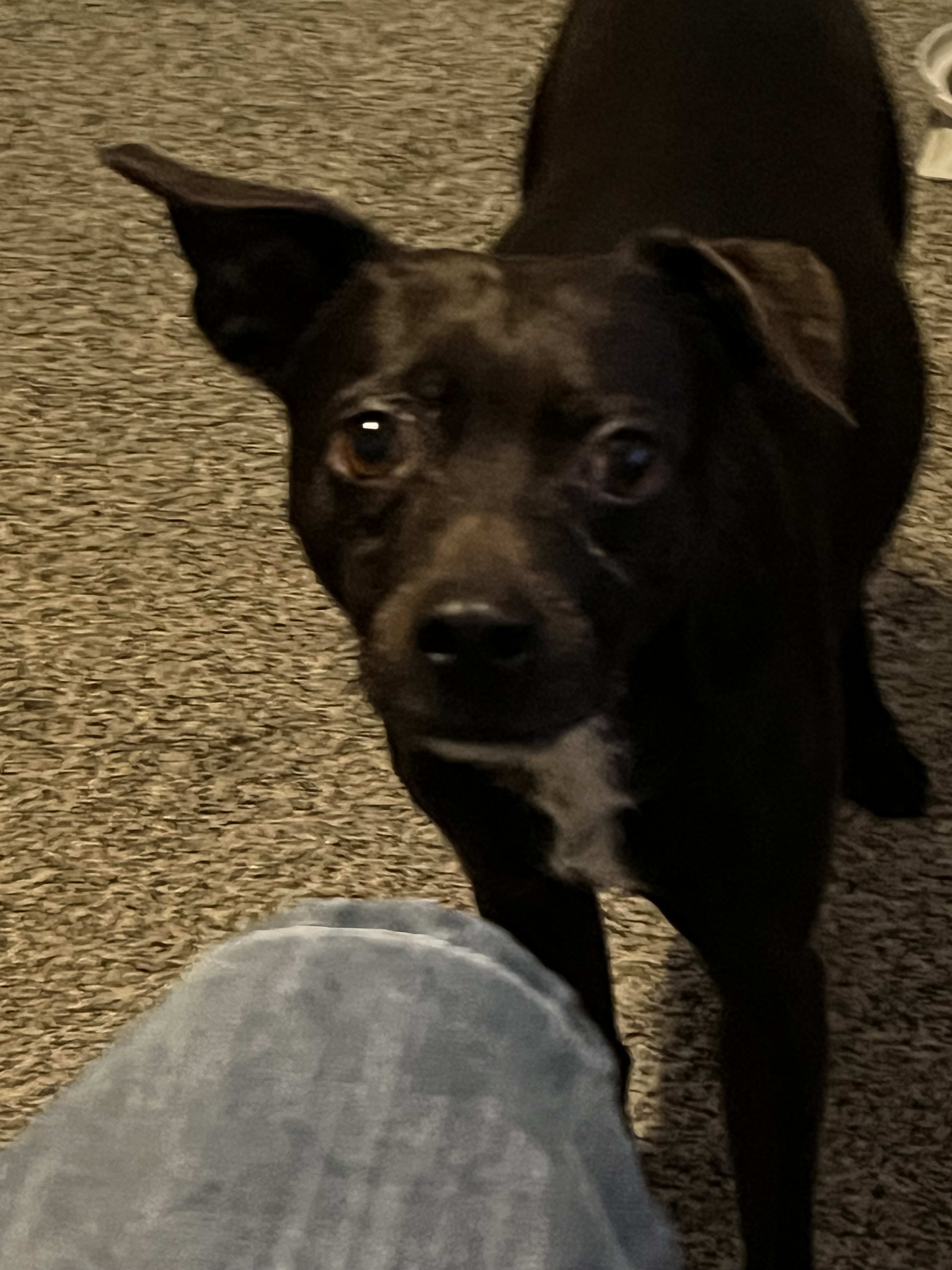Charlie
