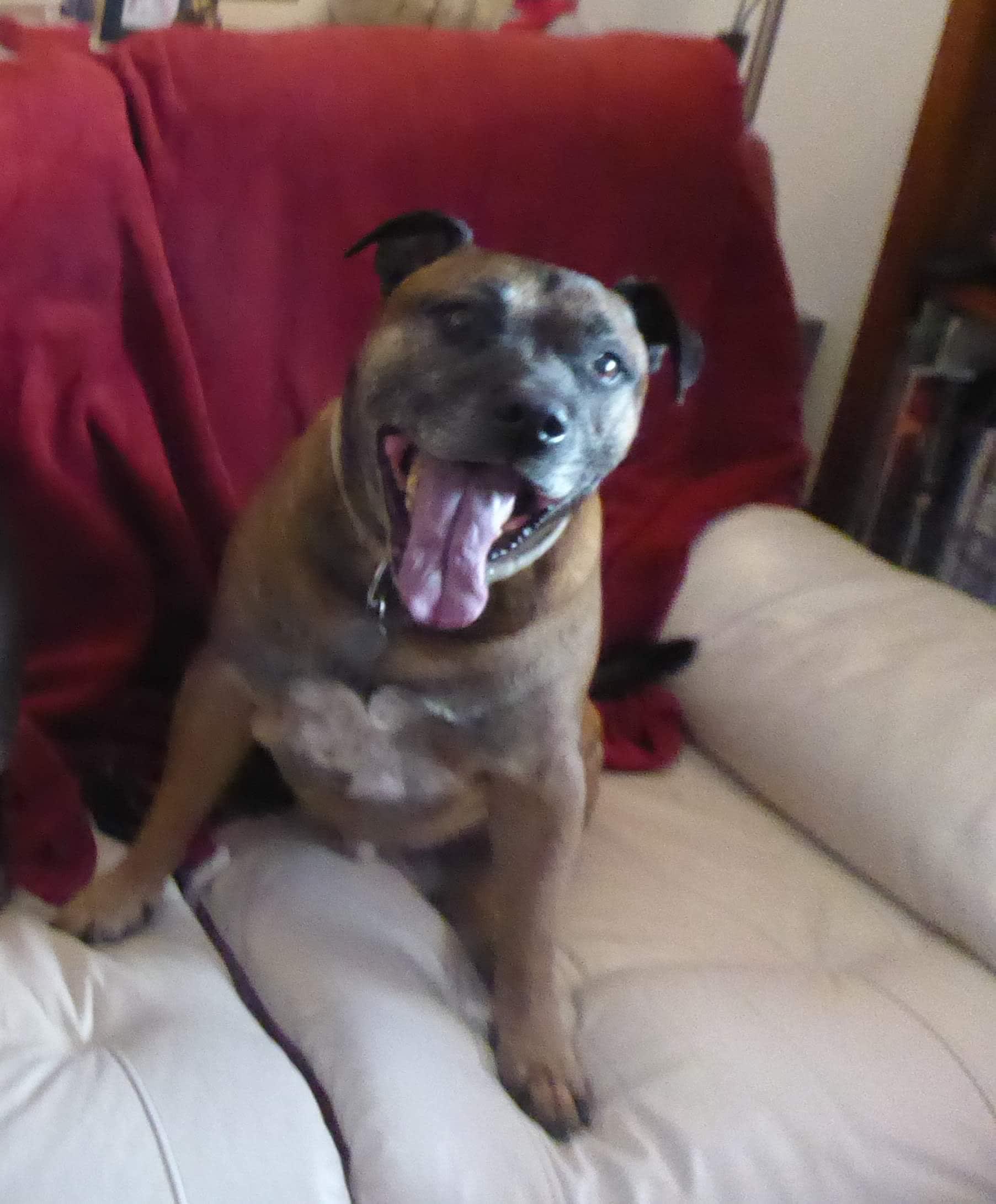 Fergus