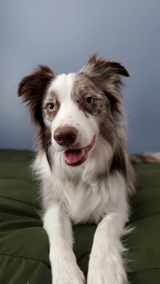 Zoey