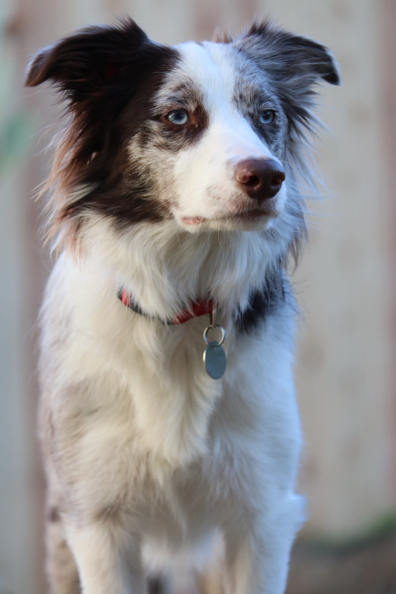 Zoey