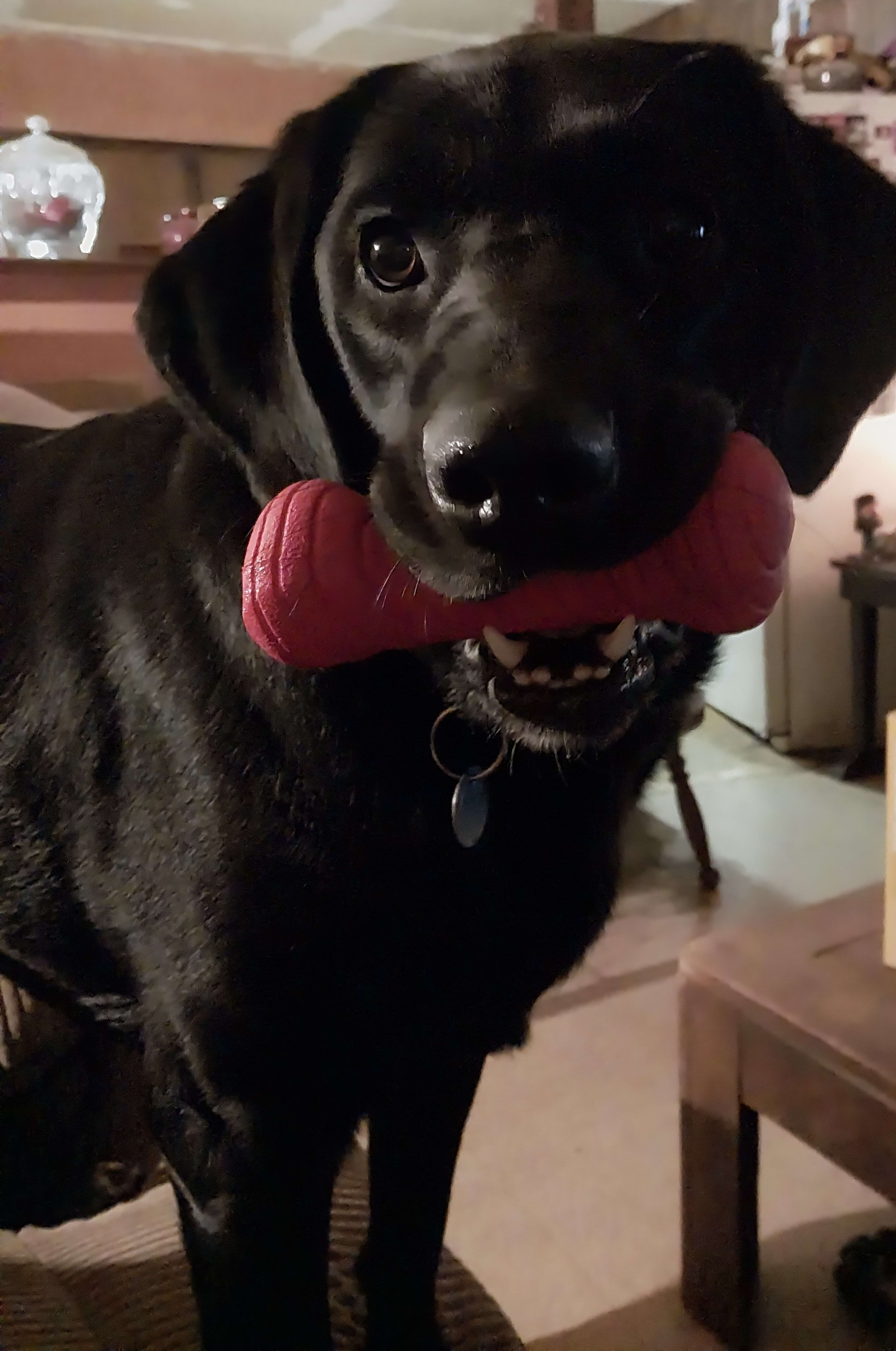 Sofie