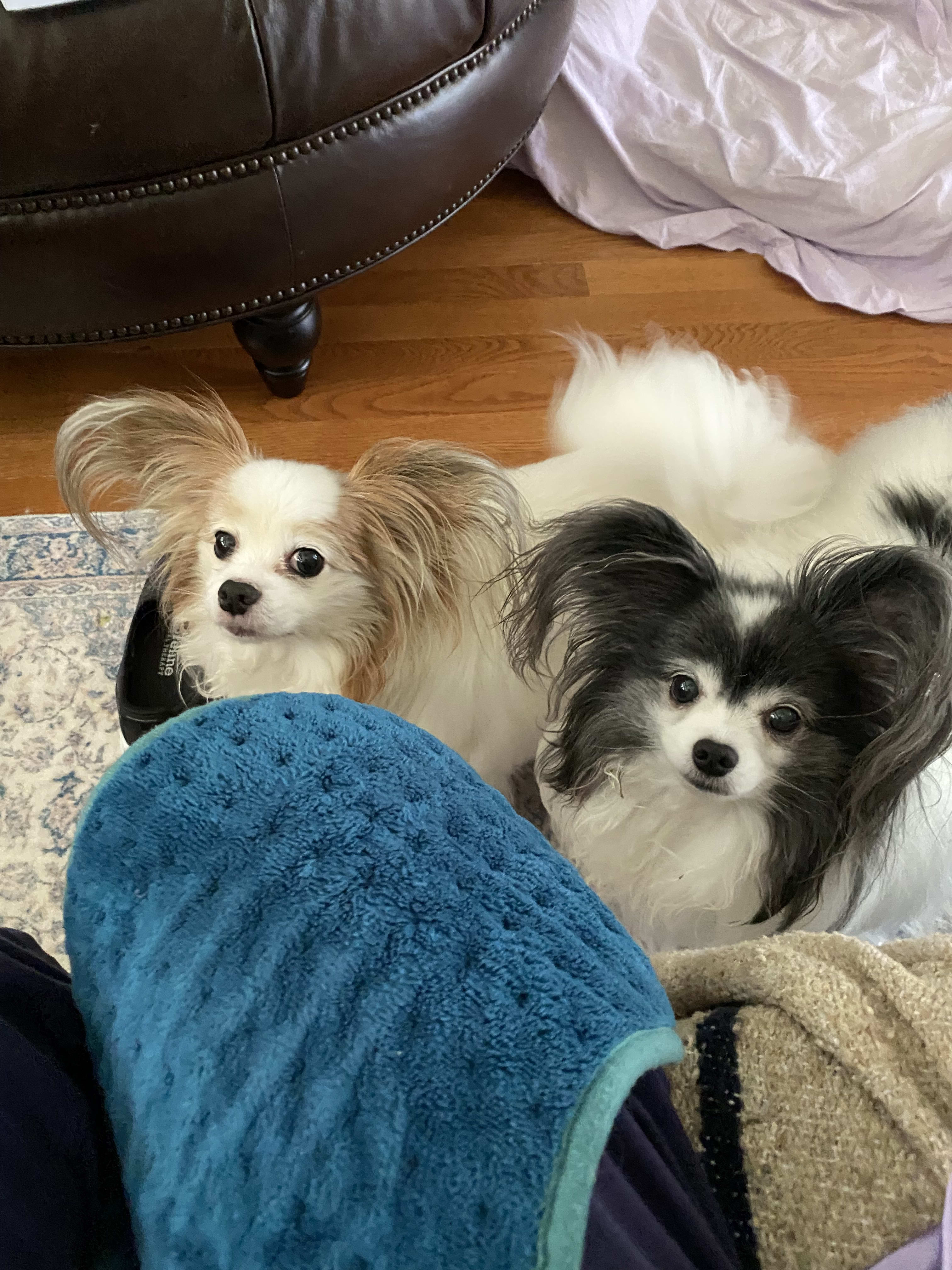 Fred and Ozzy