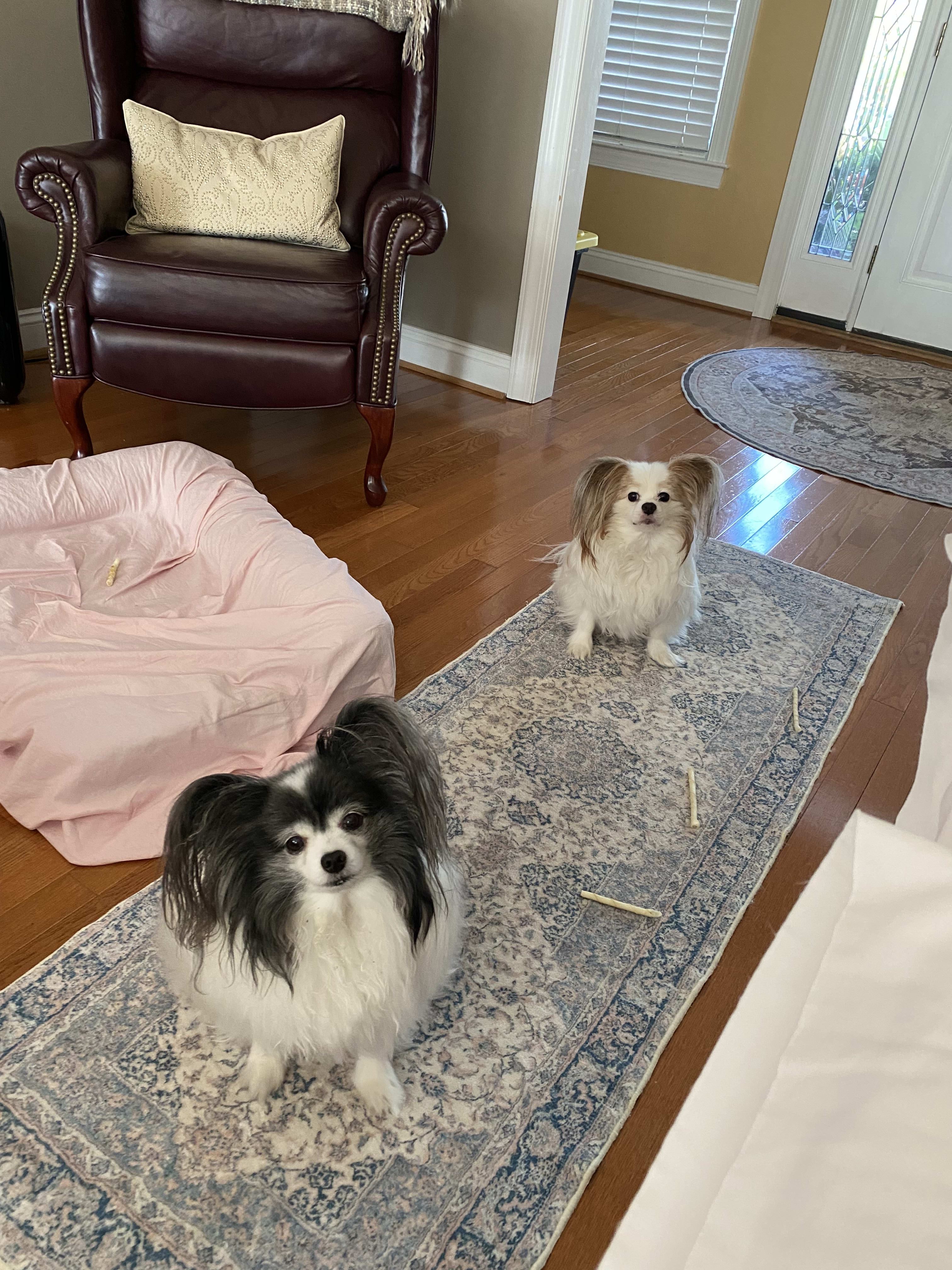 Fred and Ozzy