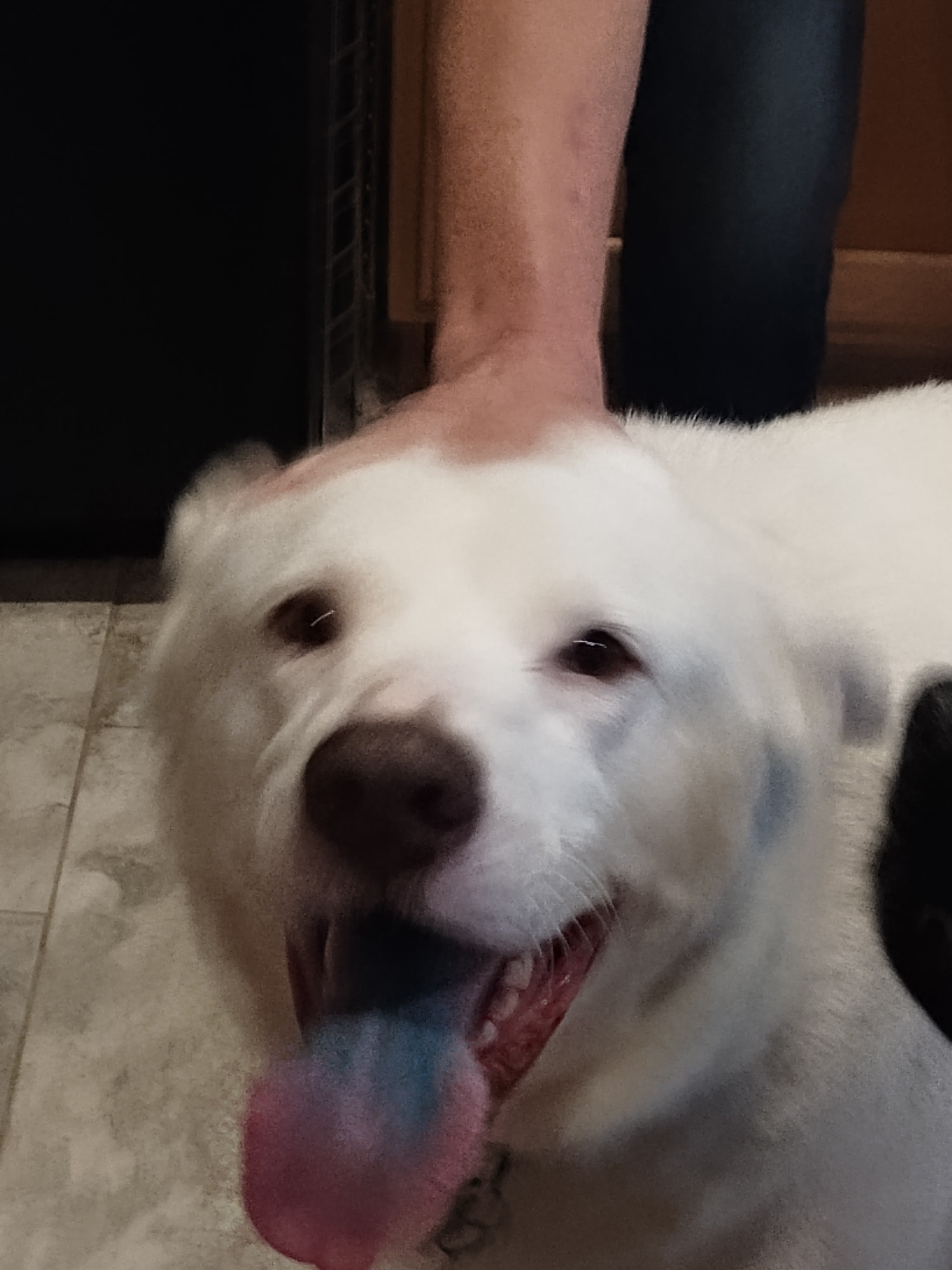 Apollo