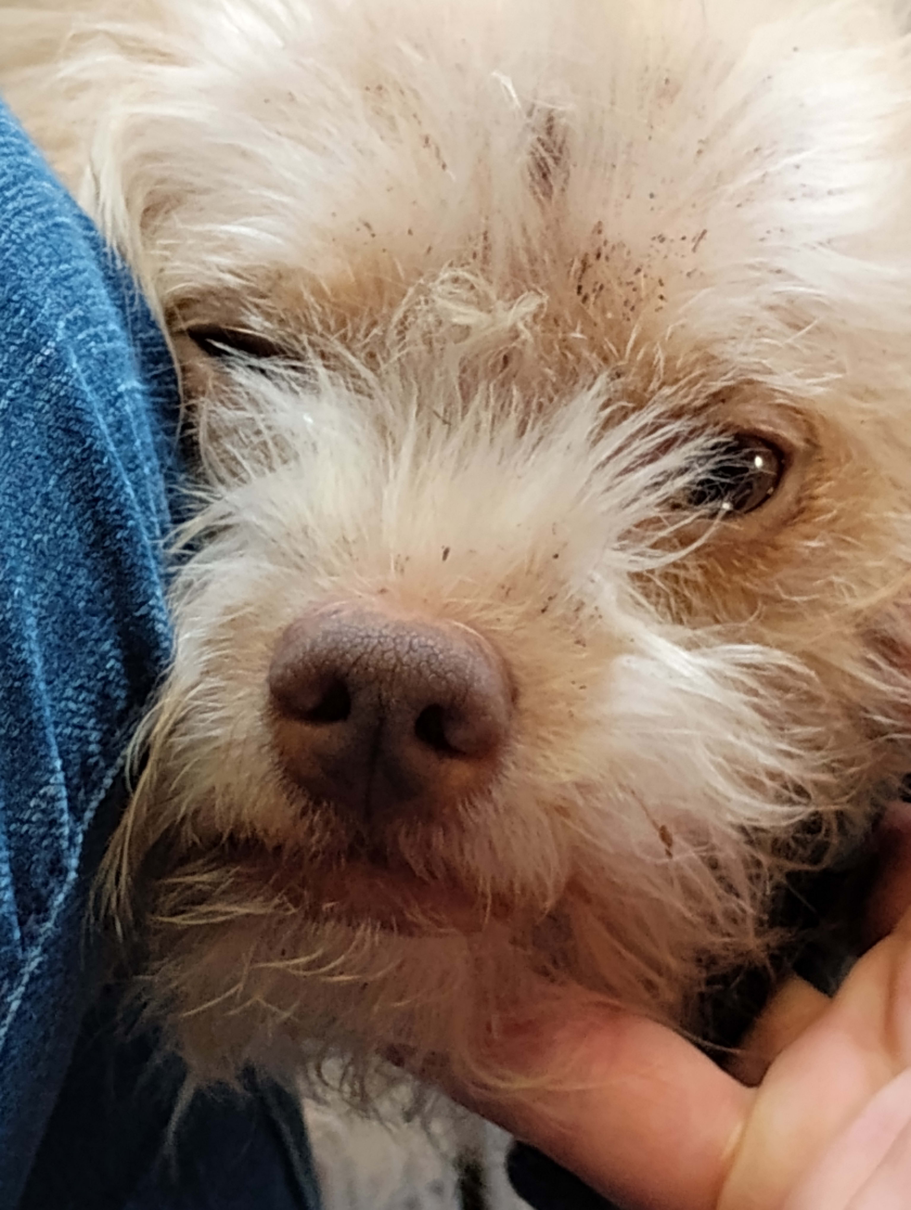 Baxter