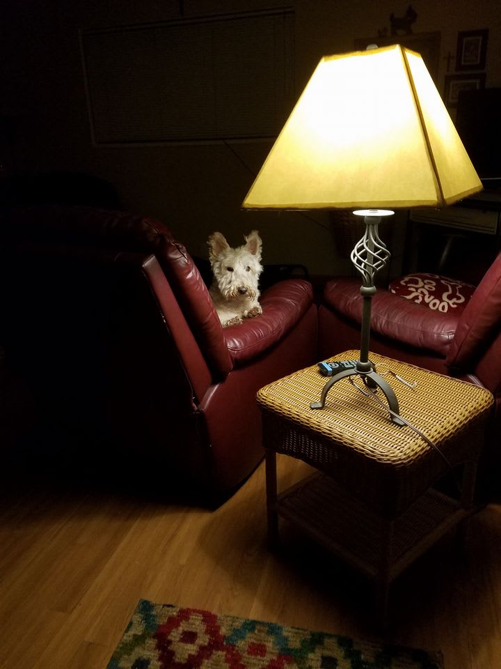 Maude and Finnegan