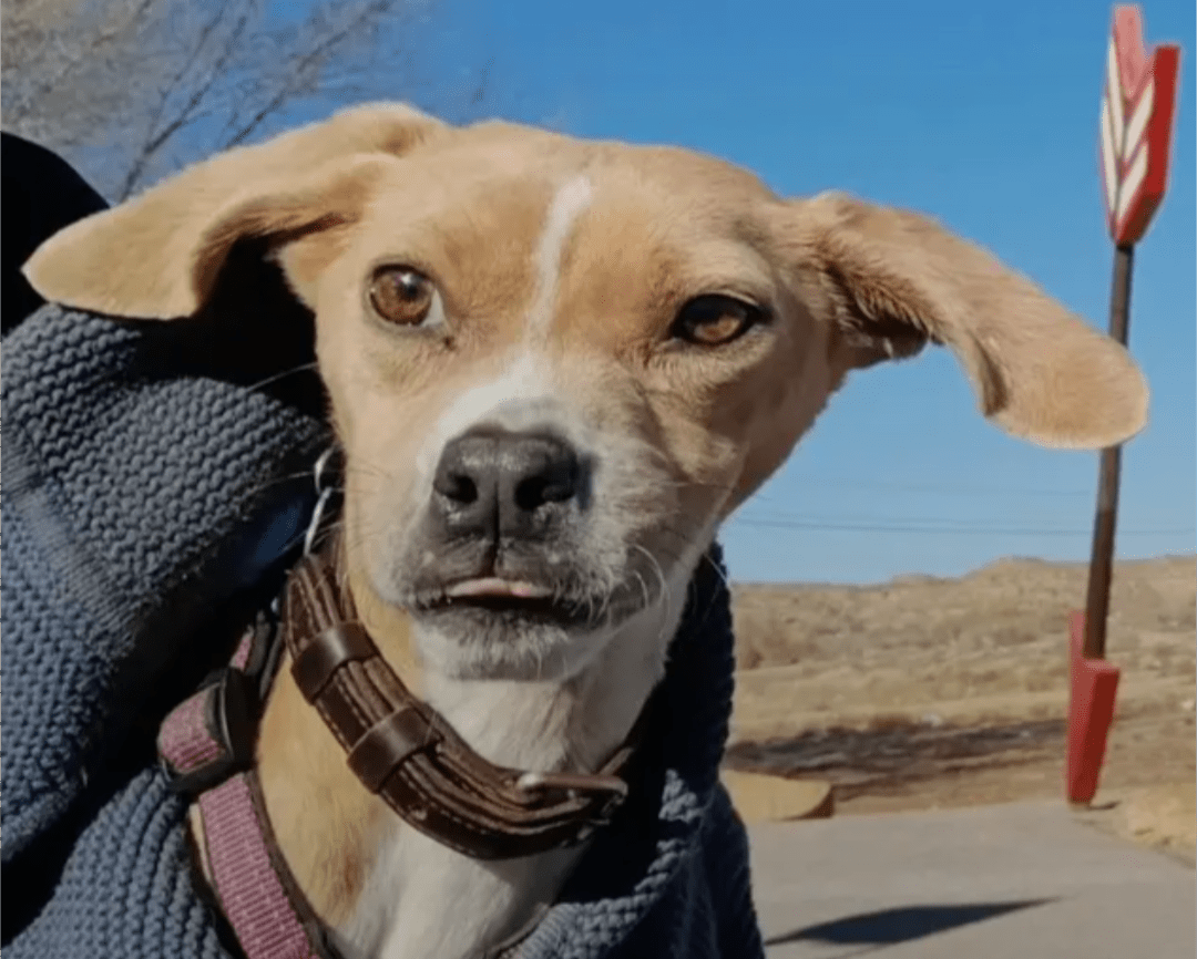 Polly-Quanah