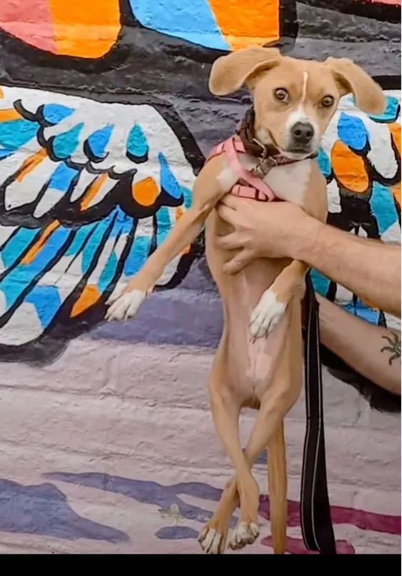 Polly-Quanah