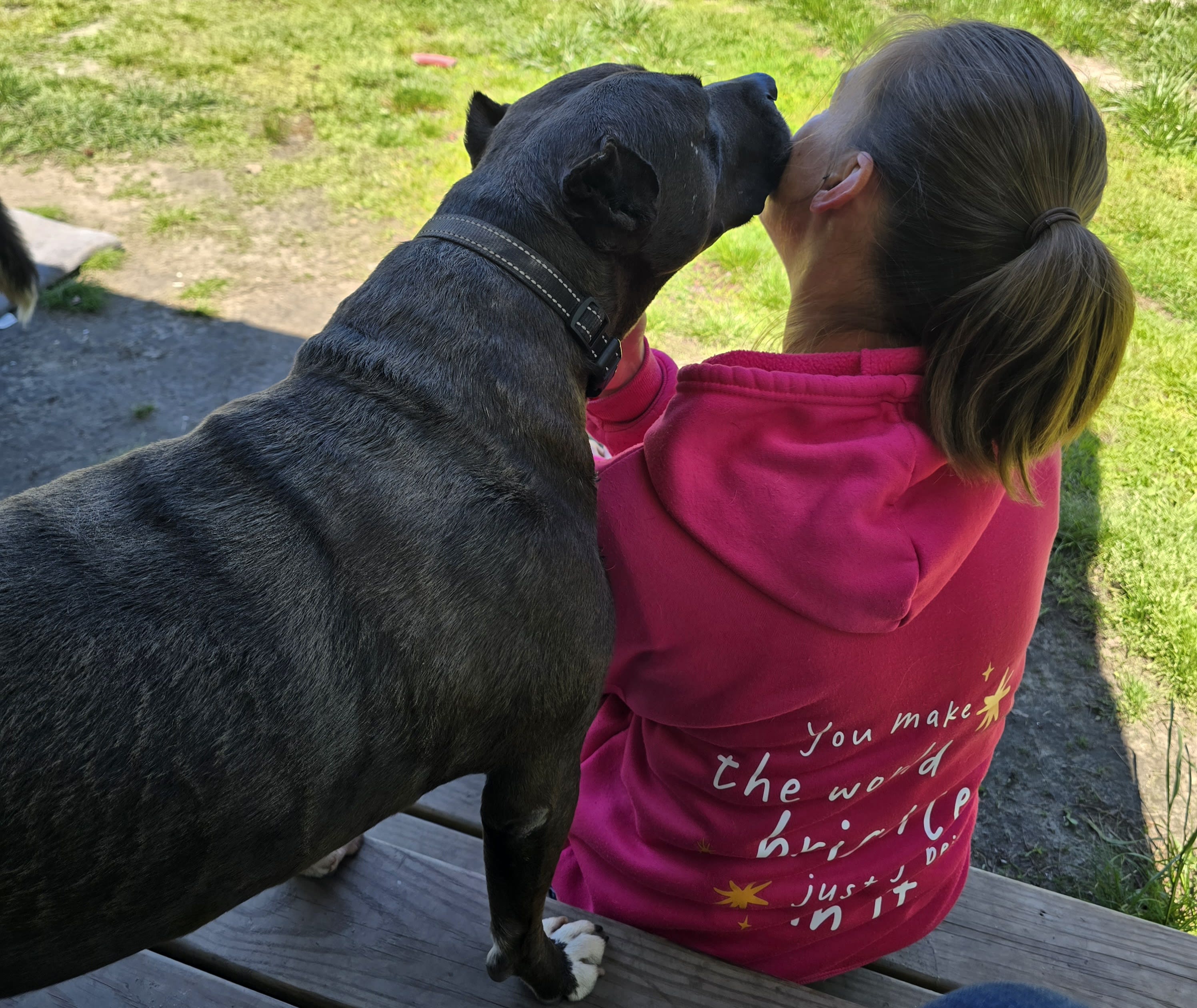 Sunrise Farm Animal Sanctuary