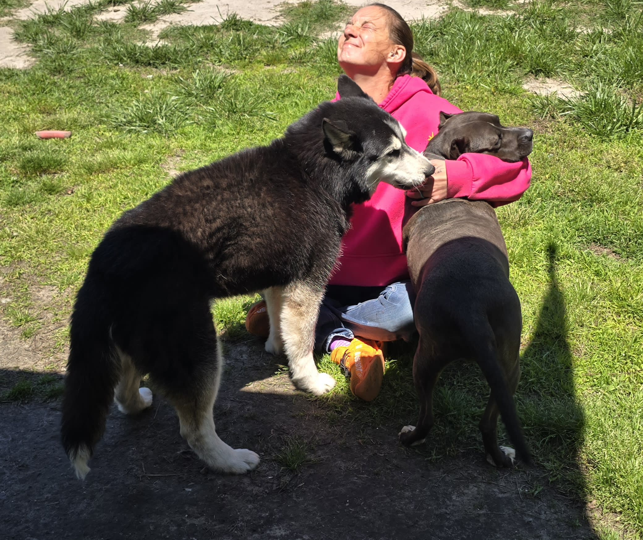 Sunrise Farm Animal Sanctuary