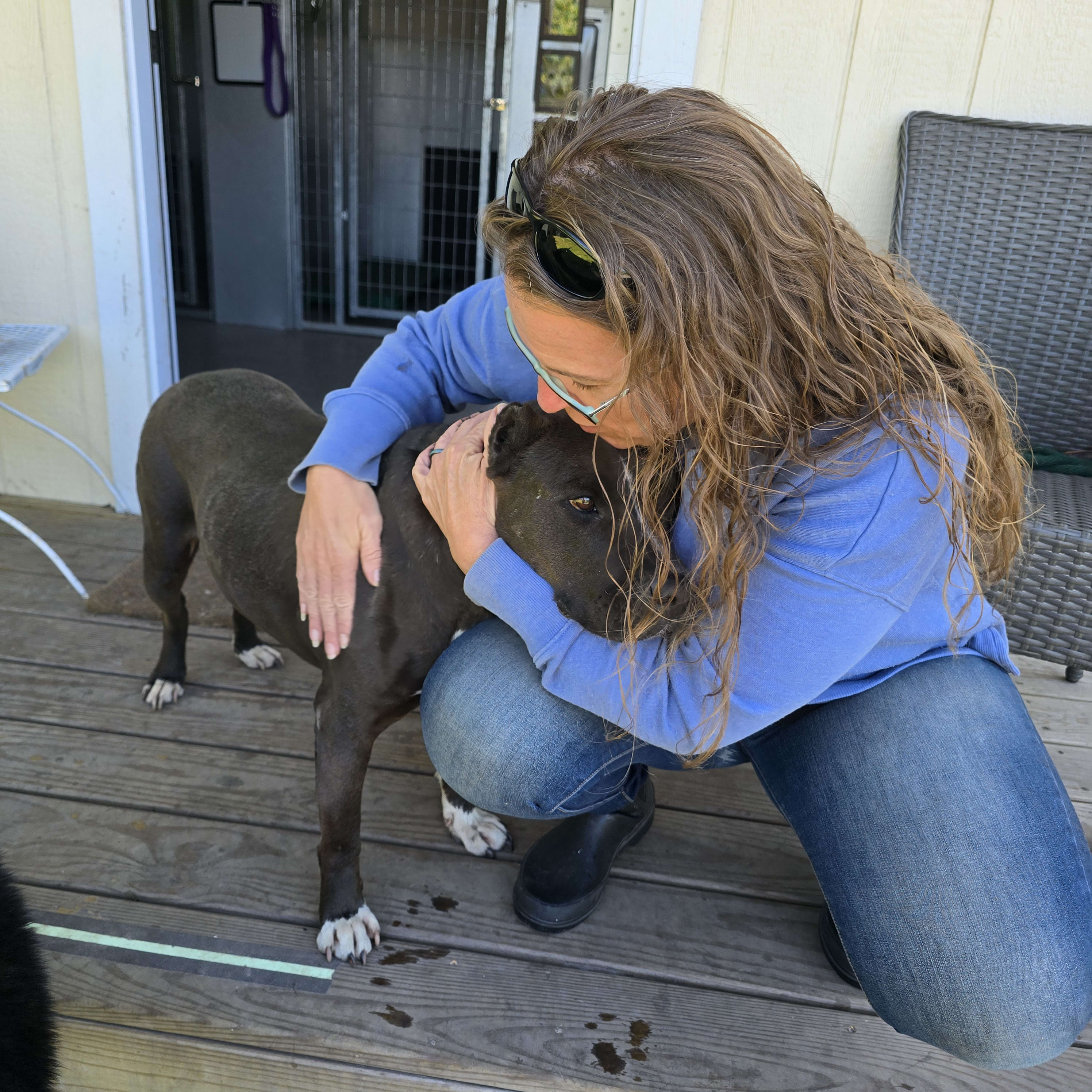 Sunrise Farm Animal Sanctuary