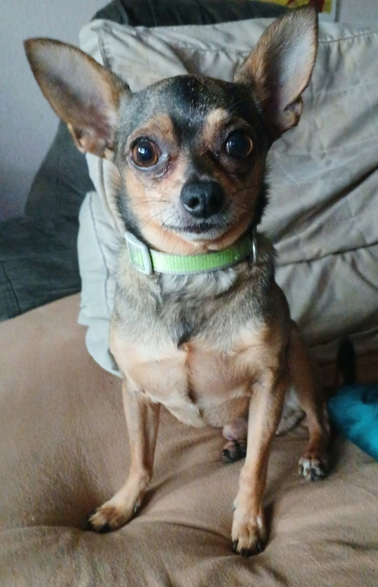 Jolie