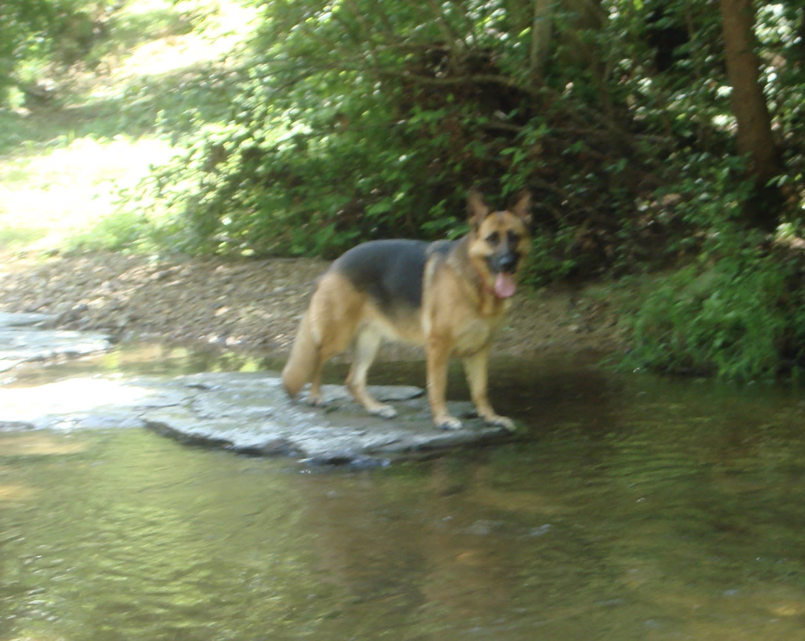 Kika