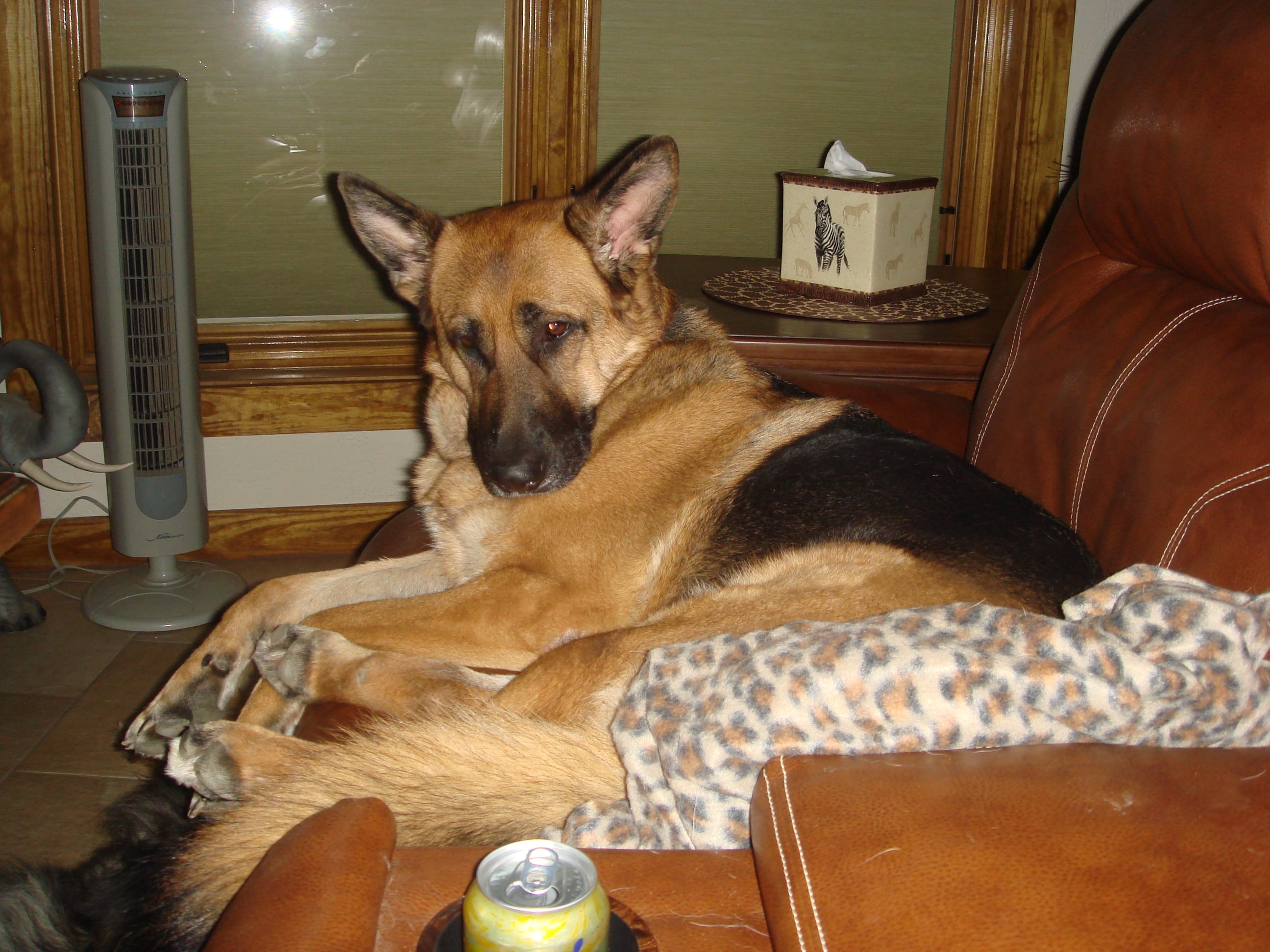 Kika