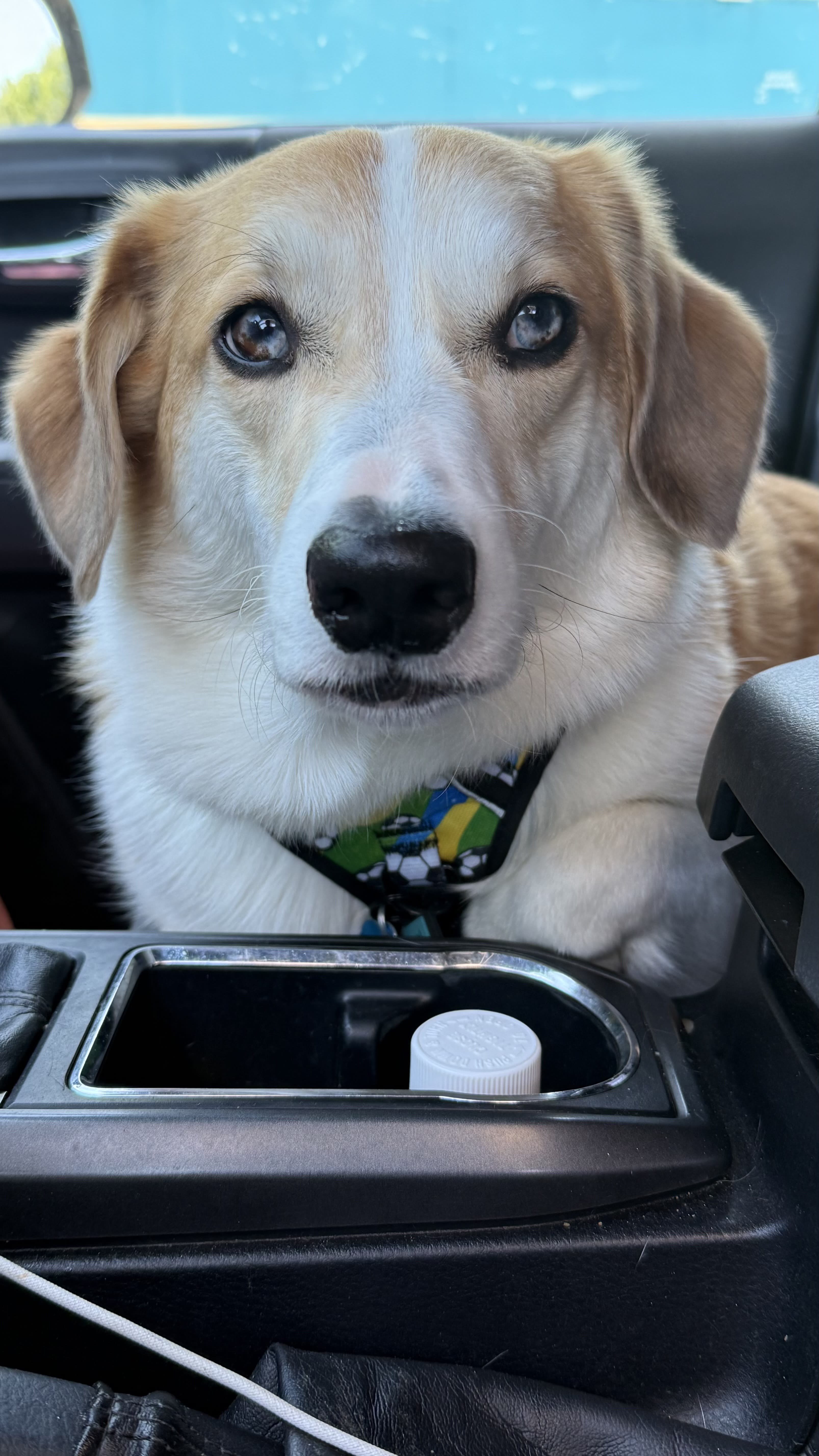 Alan